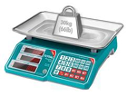  Electronic Scale