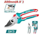 Pruning Shear