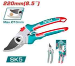 Pruning Shear