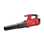 INDUSTRIAL DUST BLOWER